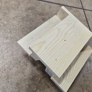 Squirrel Picnic Feeding Picnic Tables